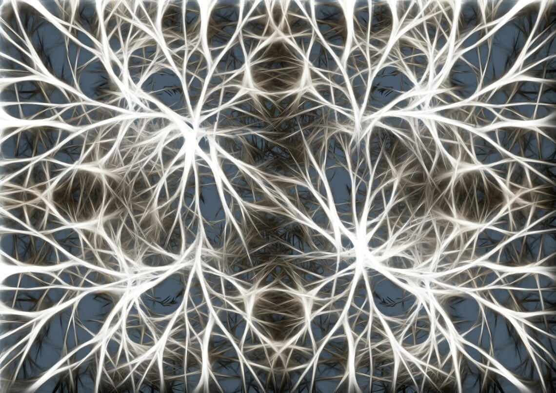 neuronii sisteme complexe