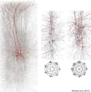 neuronii retea