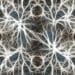 neuronii sisteme complexe