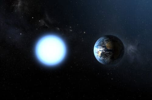 pitica alba poate sustine viata