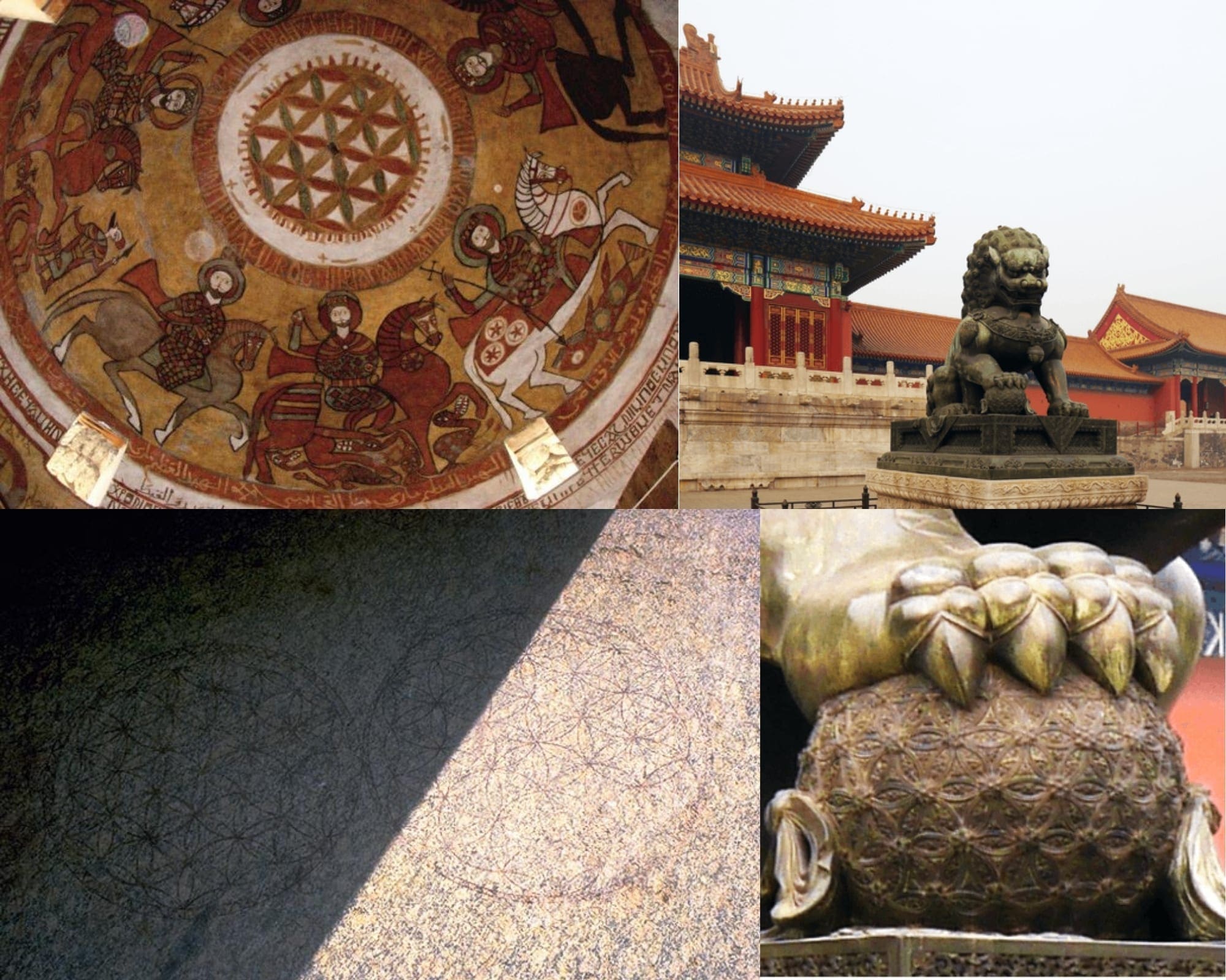 vectorul echilibru tari