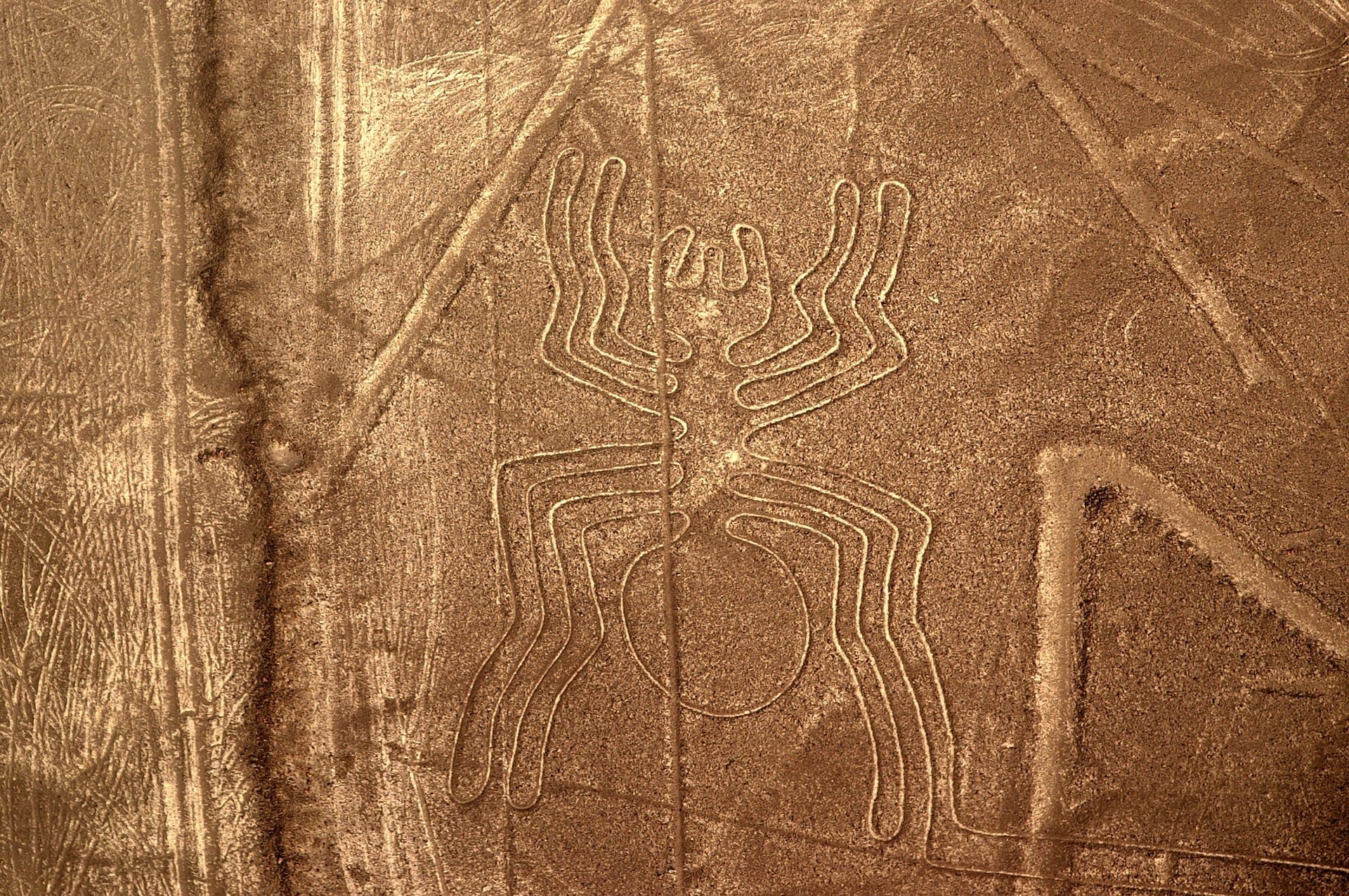 liniile de la Nazca