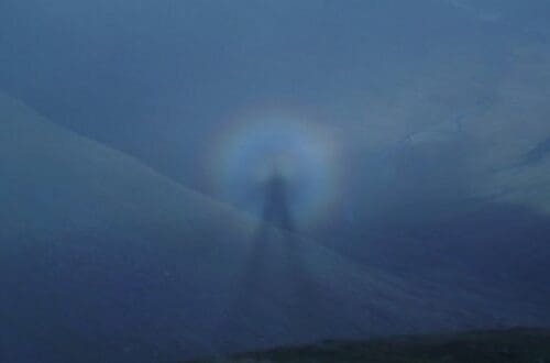 privitorii intunecati scotia