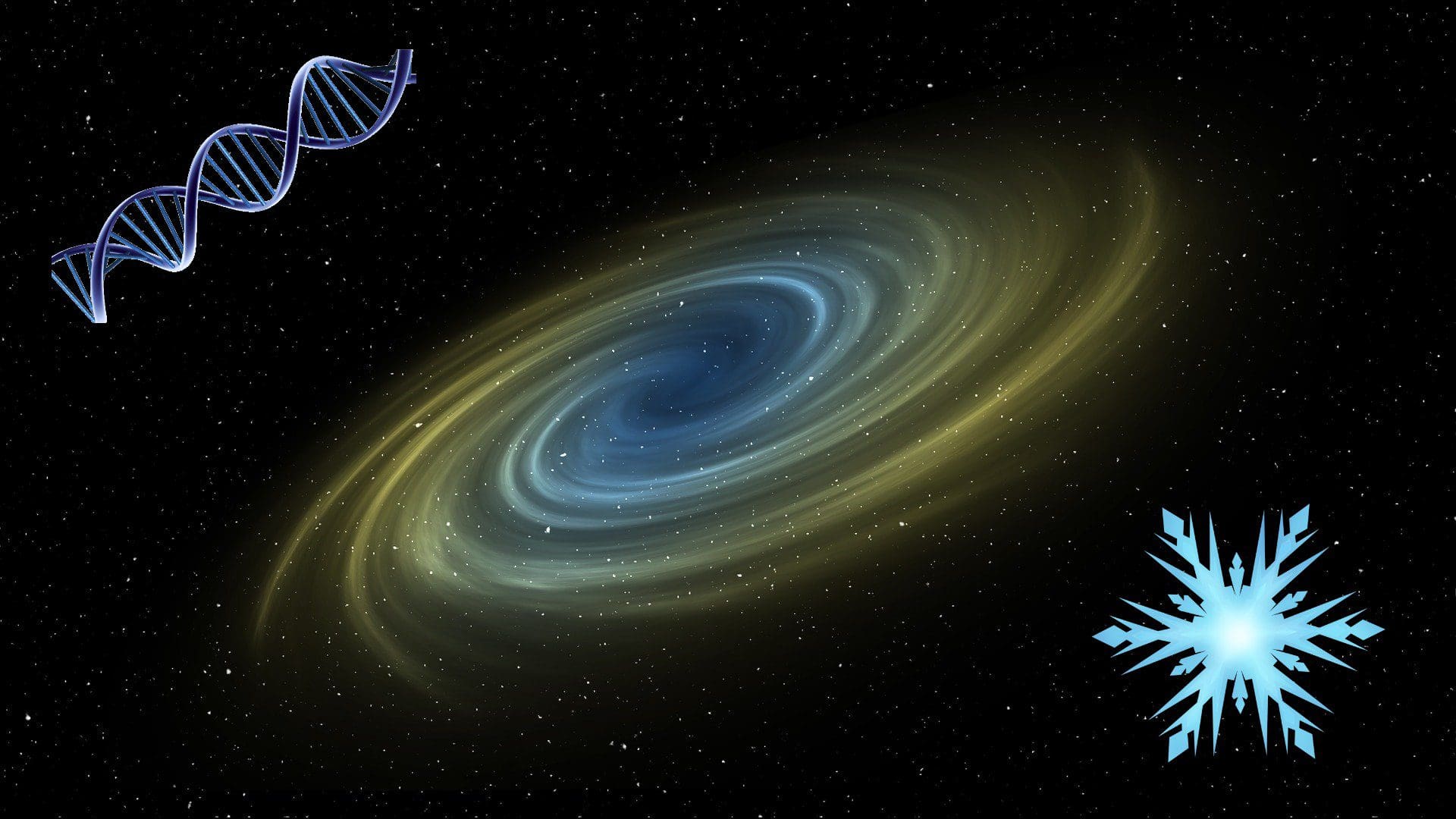 micro si macrocosmos DNA