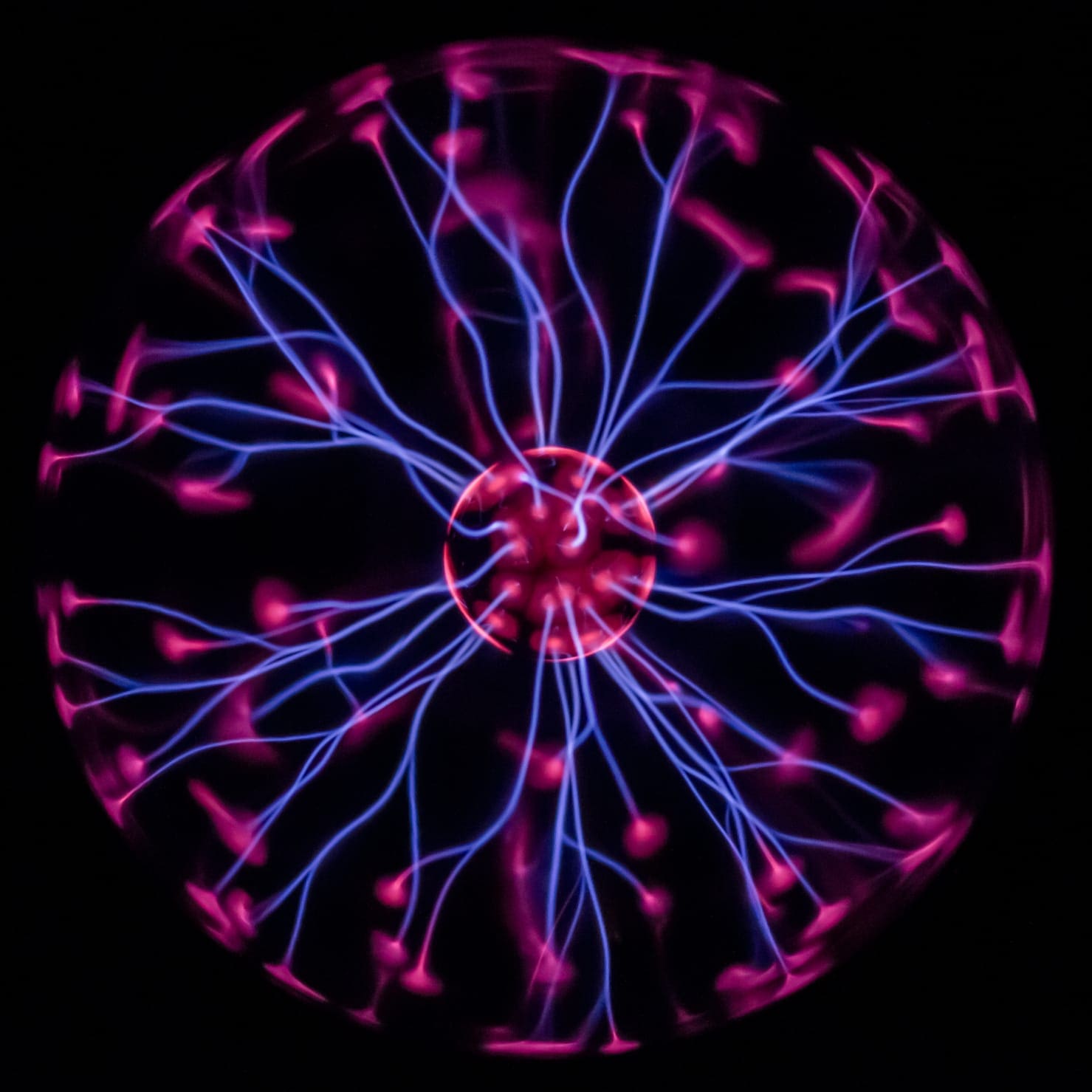 vortex plasma