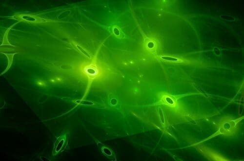 fizica cuantica in biologie