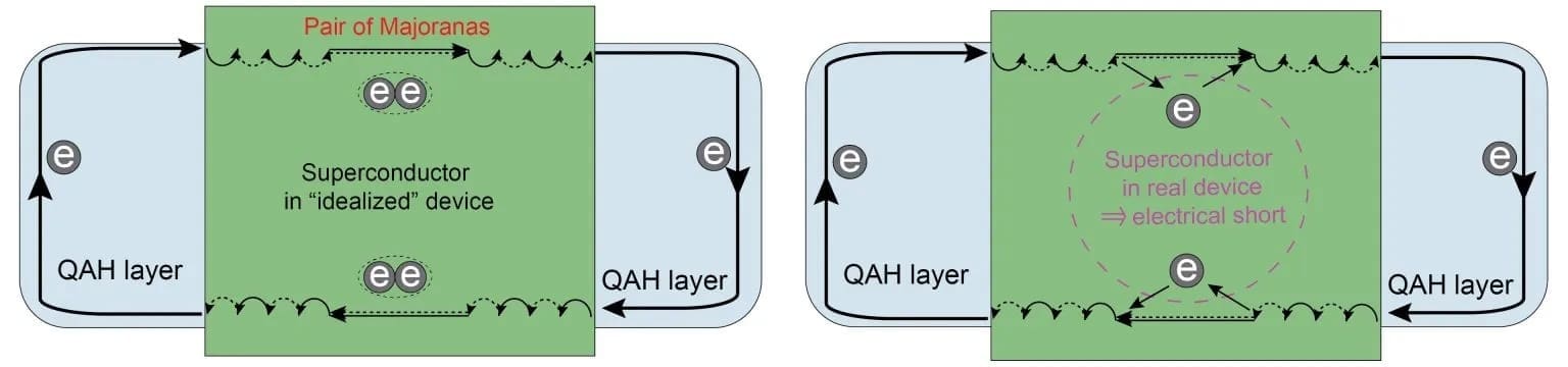 particula inger experiment