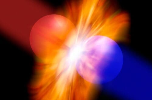 particula inger mister