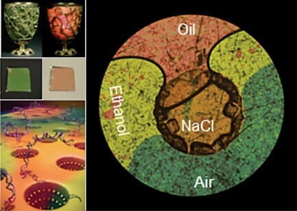 Cupa Lycurgus experiment