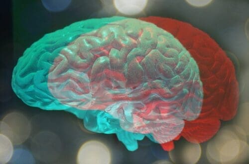 creierul uman cu structuri multidimensionale