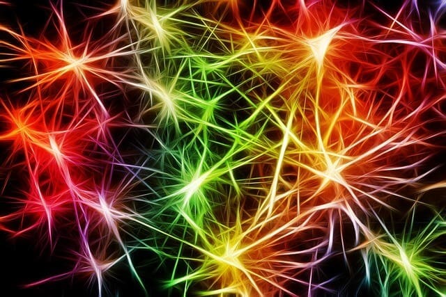 retele neuronale
