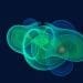obiect cosmic descoperit