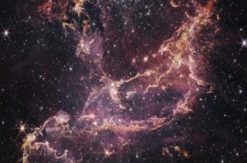 clusterul deschis si protostele