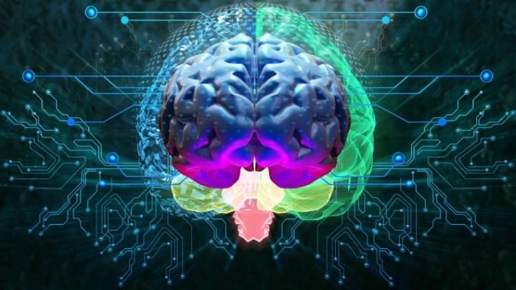 transcriere cod gene
